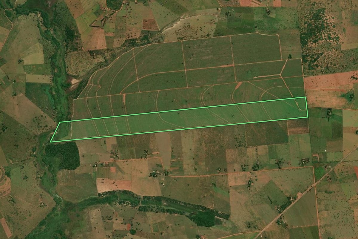 Imagem de satélite do imóvel rural em Mirante do Paranapanema (SP), com o contorno declarado no CAR desenhado por cima.