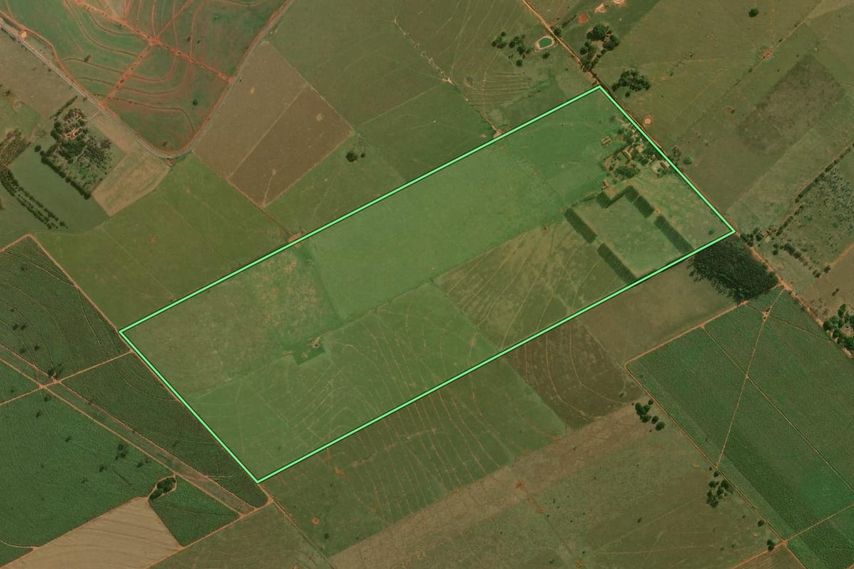 Imagem de satélite do imóvel rural em Mirante do Paranapanema (SP), com o contorno declarado no CAR desenhado por cima.