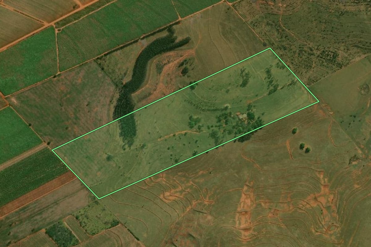 Imagem de satélite do imóvel rural em Mirante do Paranapanema (SP), com o contorno declarado no CAR desenhado por cima.