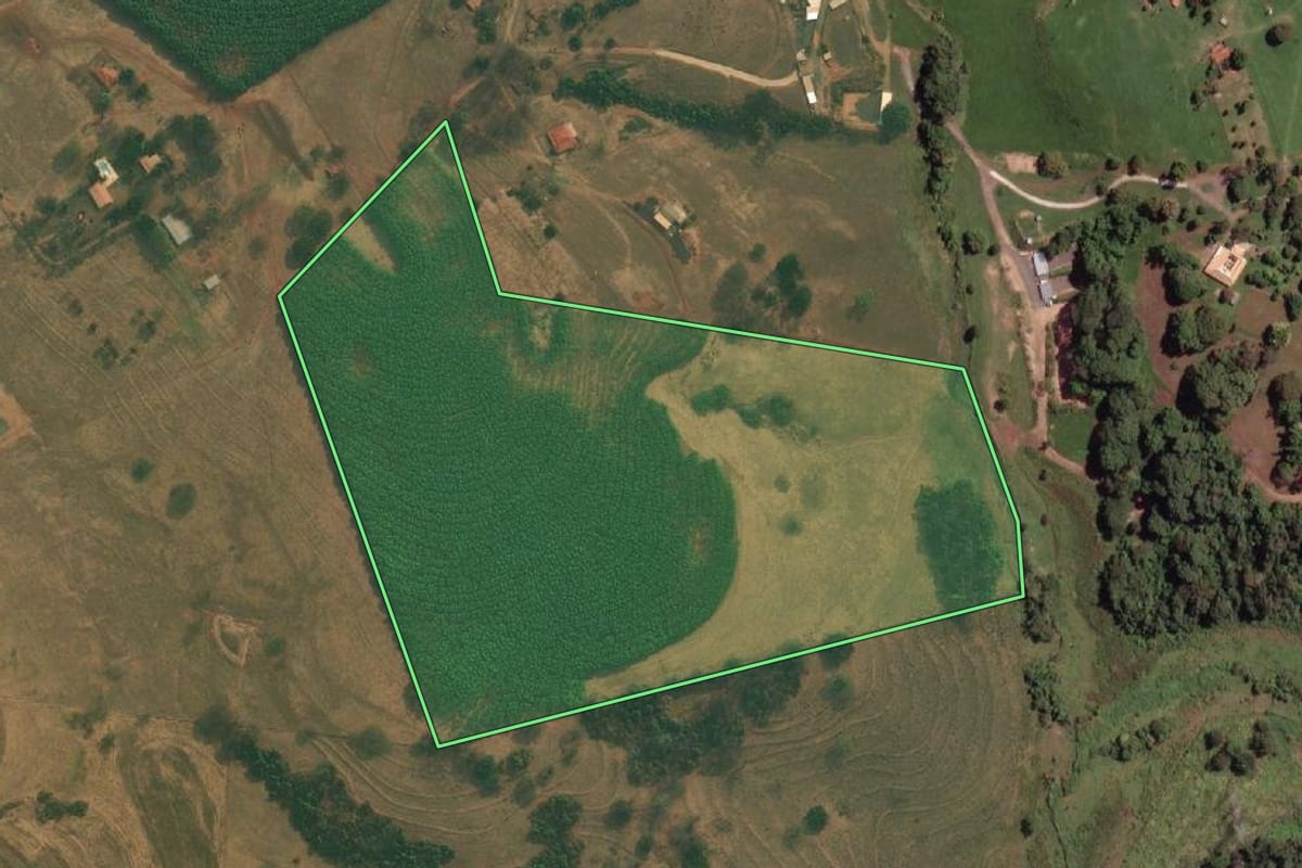Imagem de satélite do imóvel rural em Mirassol (SP), com o contorno declarado no CAR desenhado por cima.