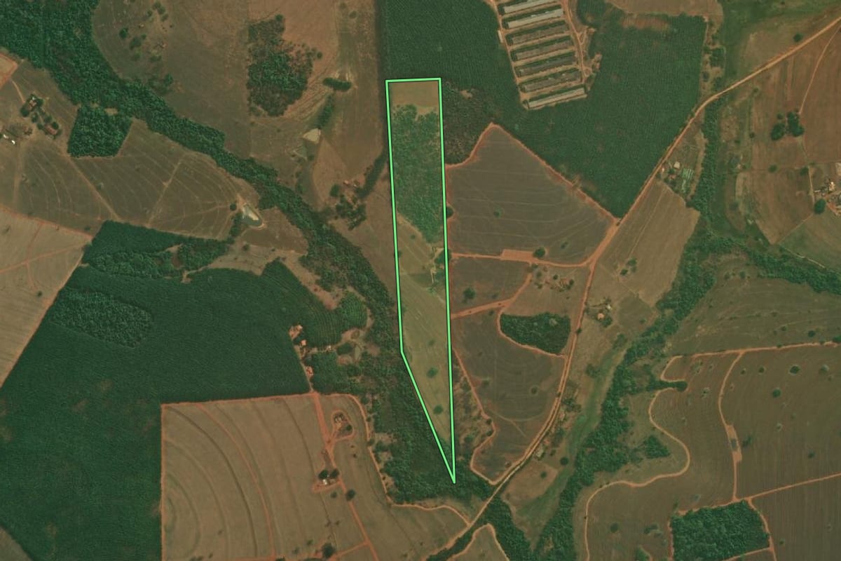 Imagem de satélite do imóvel rural em Mirassol (SP), com o contorno declarado no CAR desenhado por cima.