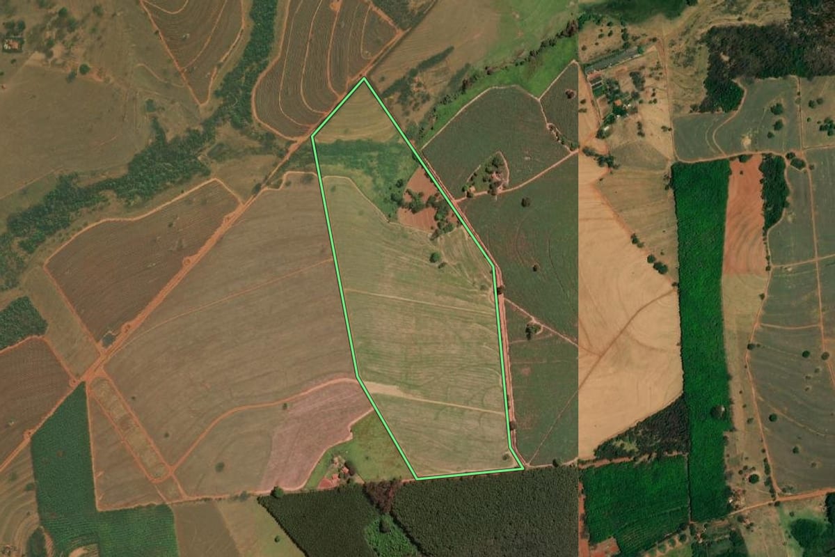 Imagem de satélite do imóvel rural em Mirassol (SP), com o contorno declarado no CAR desenhado por cima.