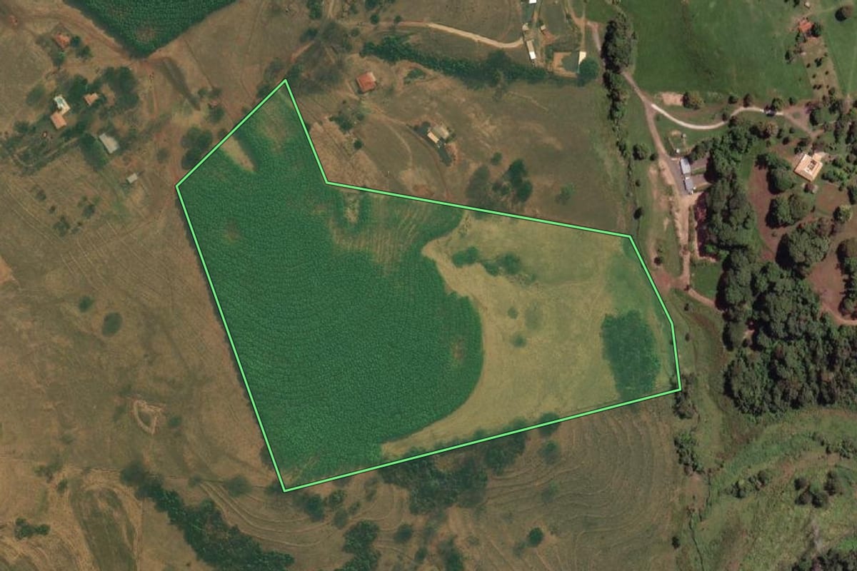 Imagem de satélite do imóvel rural em Mirassol (SP), com o contorno declarado no CAR desenhado por cima.