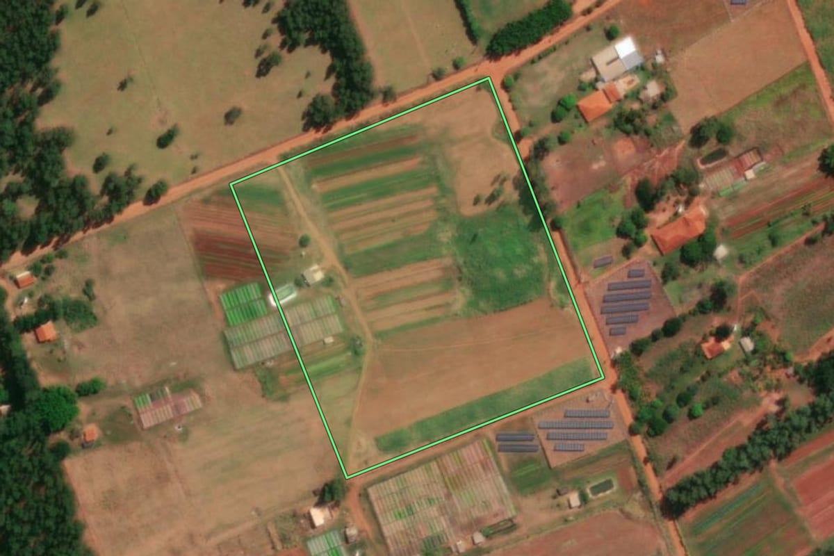 Imagem de satélite do imóvel rural em Mirassol (SP), com o contorno declarado no CAR desenhado por cima.
