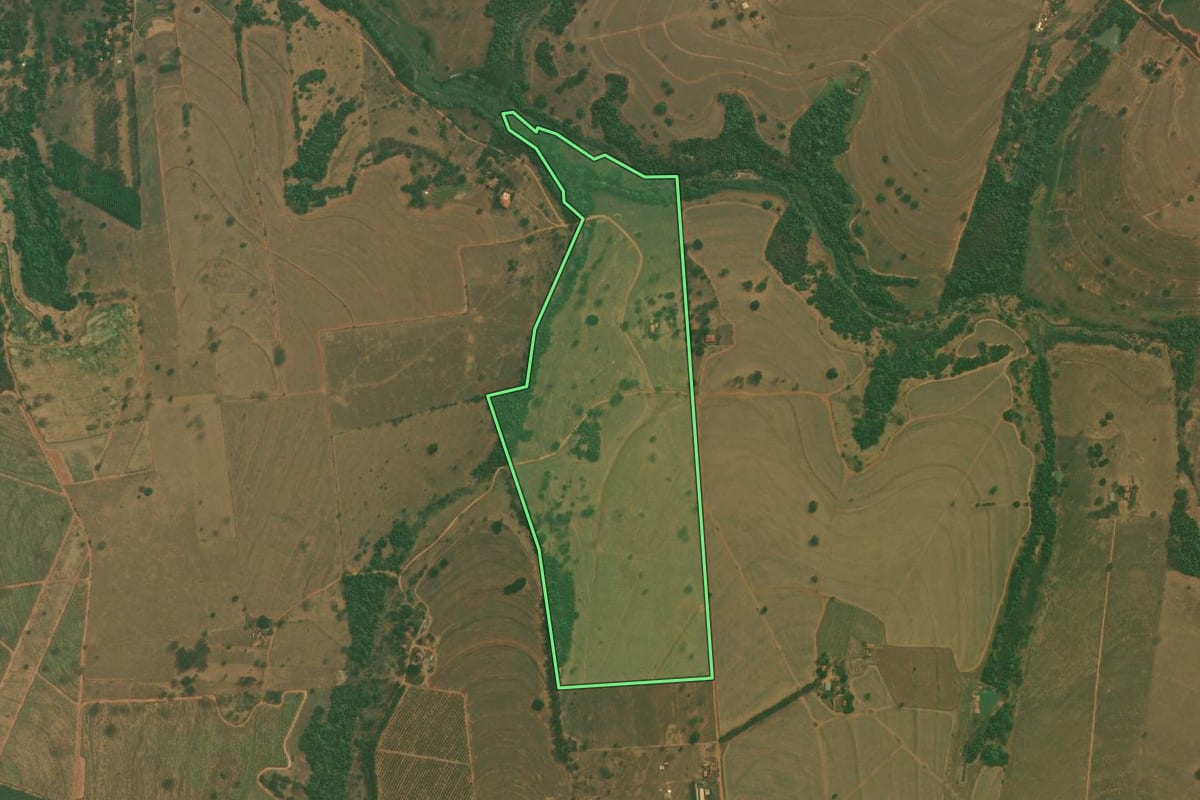 Imagem de satélite do imóvel rural em Mirassol (SP), com o contorno declarado no CAR desenhado por cima.