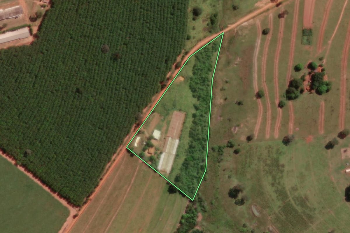 Imagem de satélite do imóvel rural em Mirassol (SP), com o contorno declarado no CAR desenhado por cima.