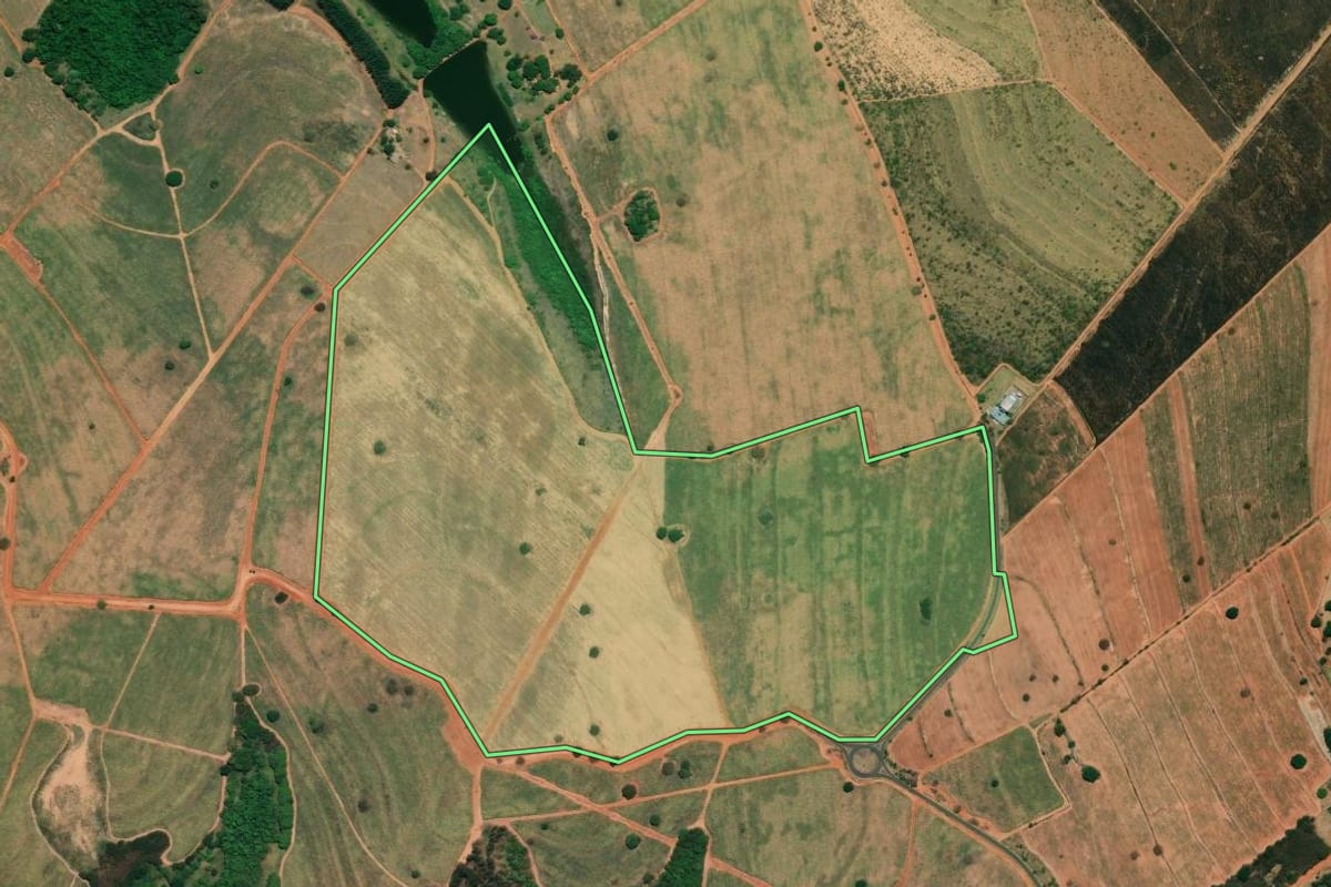 Imagem de satélite do imóvel rural em Mirassol (SP), com o contorno declarado no CAR desenhado por cima.