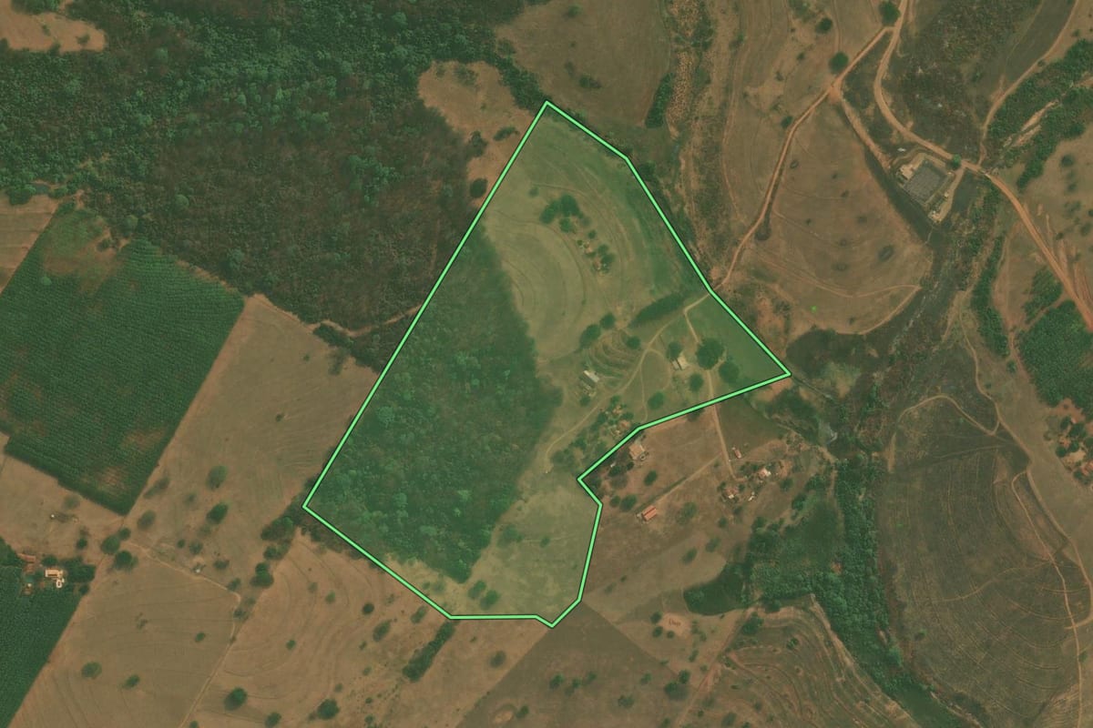 Imagem de satélite do imóvel rural em Mirassol (SP), com o contorno declarado no CAR desenhado por cima.