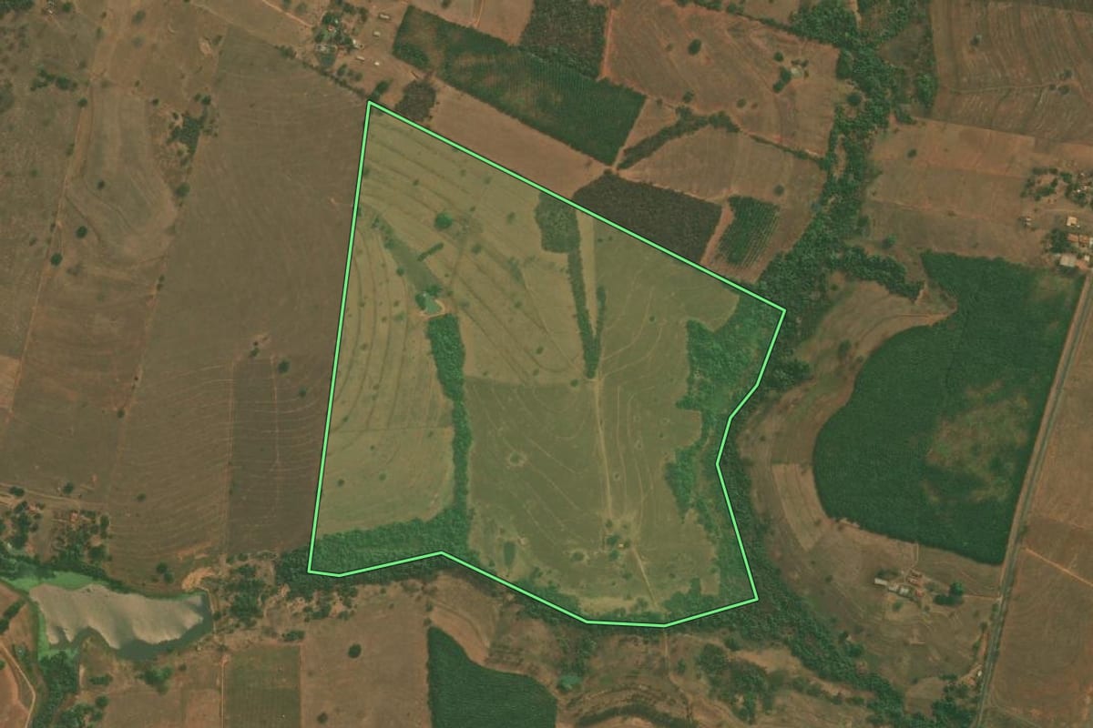 Imagem de satélite do imóvel rural em Mirassol (SP), com o contorno declarado no CAR desenhado por cima.