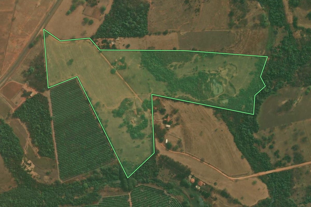 Imagem de satélite do imóvel rural em Mirassol (SP), com o contorno declarado no CAR desenhado por cima.