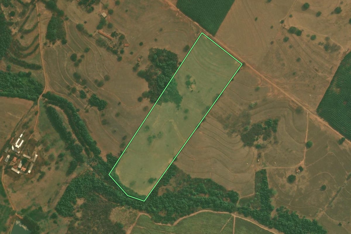 Imagem de satélite do imóvel rural em Mirassol (SP), com o contorno declarado no CAR desenhado por cima.