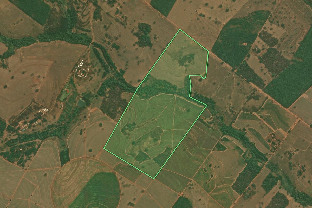 Imagem de satélite do imóvel rural em Mirassol (SP), com o contorno declarado no CAR desenhado por cima.
