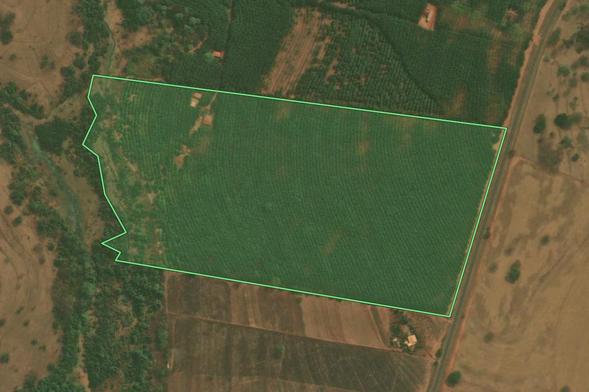 Imagem de satélite do imóvel rural em Mirassol (SP), com o contorno declarado no CAR desenhado por cima.