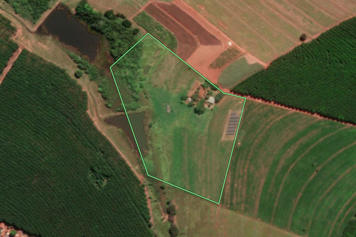 Imagem de satélite do imóvel rural em Mirassolândia (SP), com o contorno declarado no CAR desenhado por cima.
