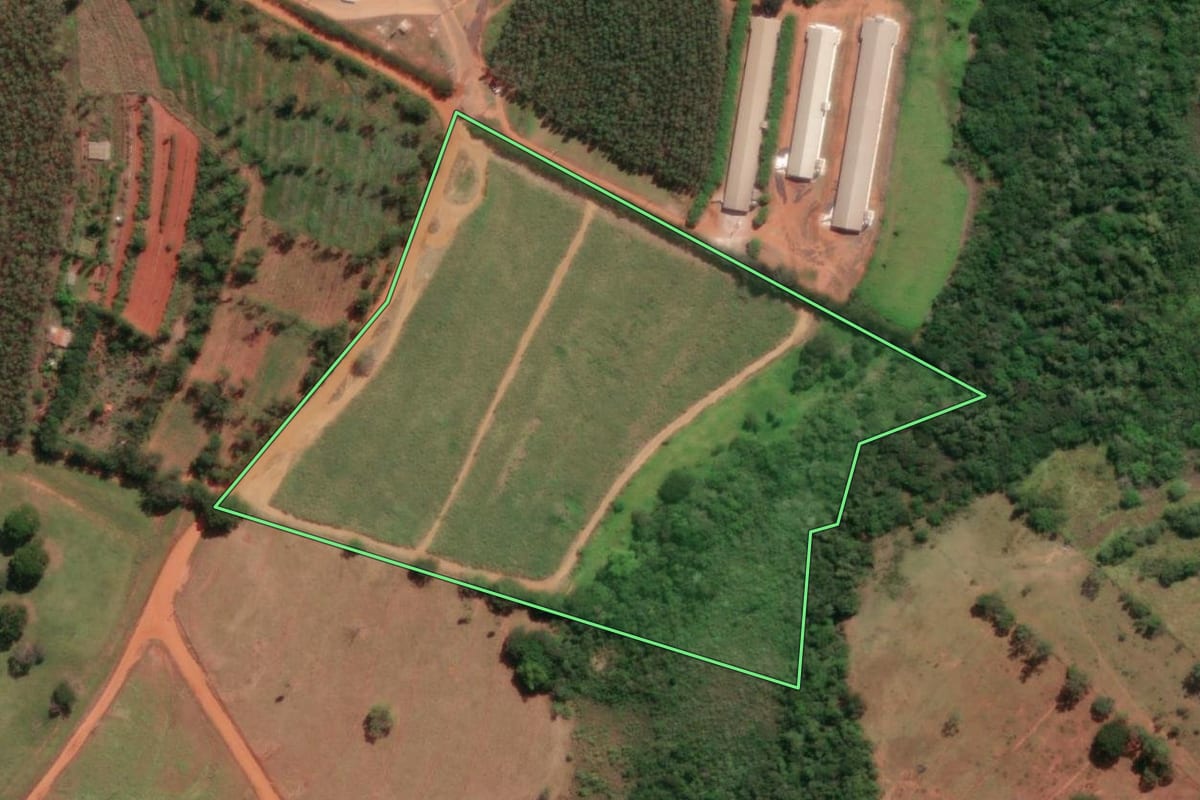 Imagem de satélite do imóvel rural em Mirassolândia (SP), com o contorno declarado no CAR desenhado por cima.