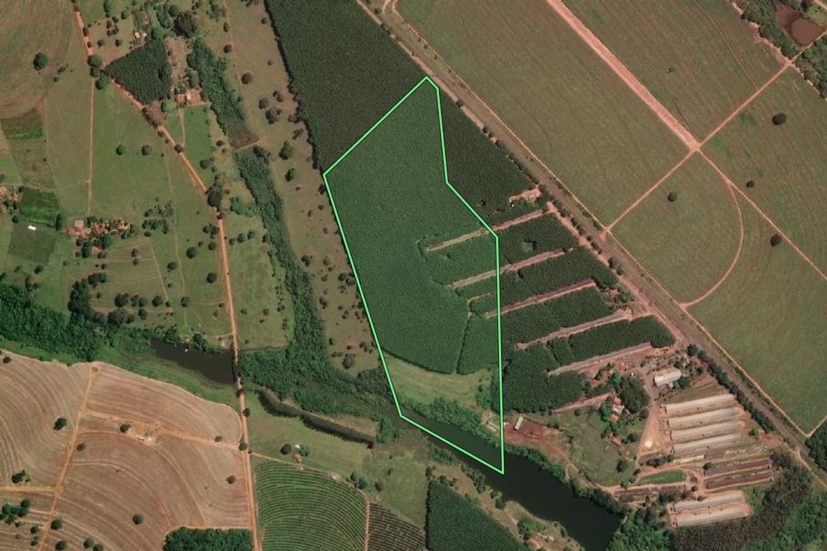 Imagem de satélite do imóvel rural em Mirassolândia (SP), com o contorno declarado no CAR desenhado por cima.