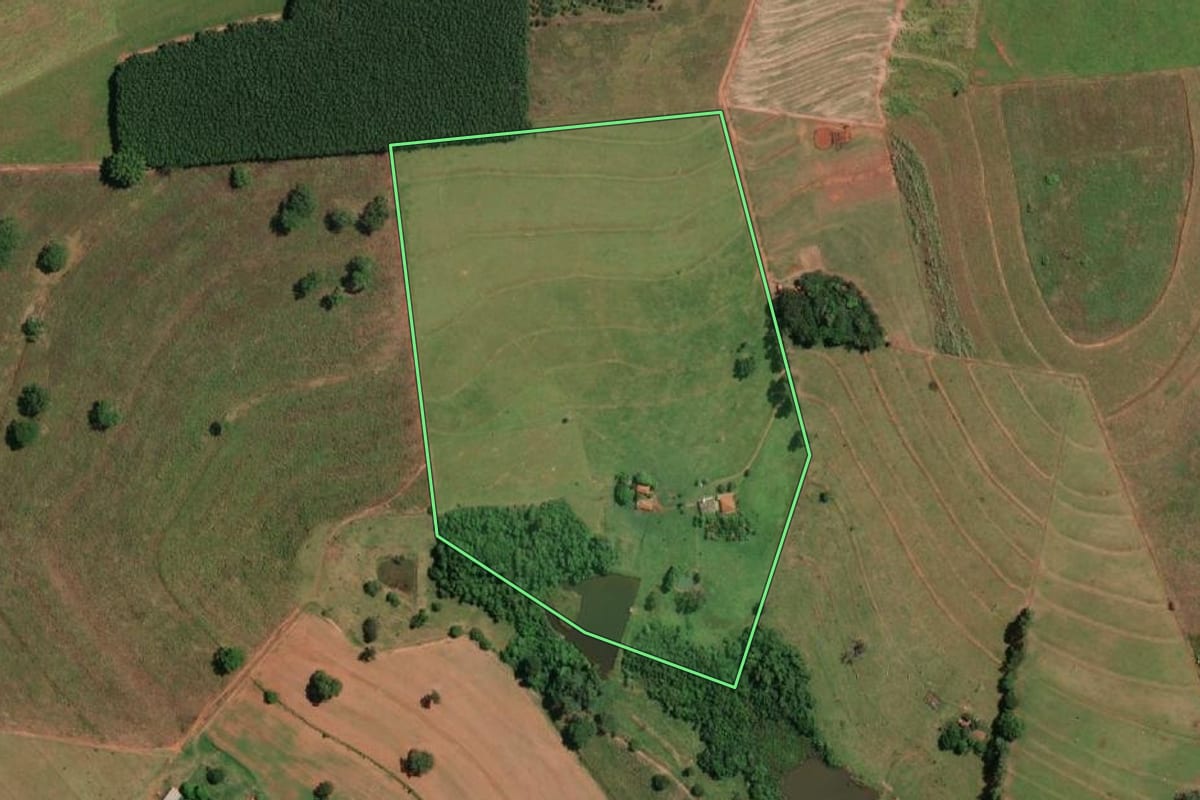 Imagem de satélite do imóvel rural em Mirassolândia (SP), com o contorno declarado no CAR desenhado por cima.