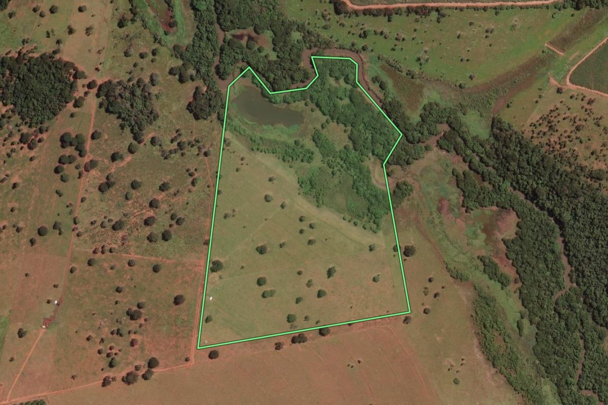 Imagem de satélite do imóvel rural em Mirassolândia (SP), com o contorno declarado no CAR desenhado por cima.