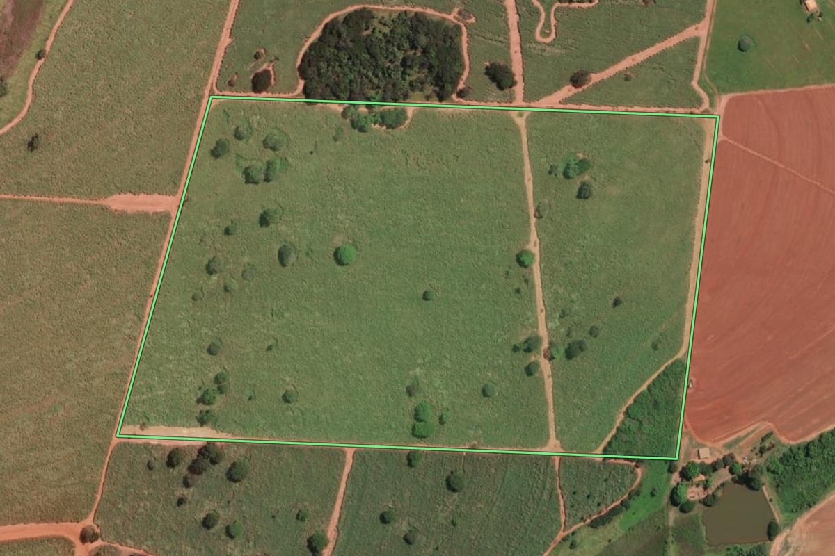 Imagem de satélite do imóvel rural em Mirassolândia (SP), com o contorno declarado no CAR desenhado por cima.