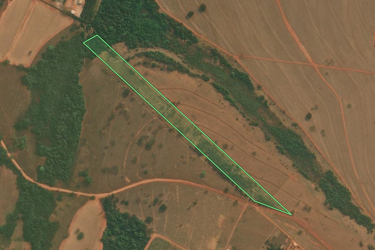 Imagem de satélite do imóvel rural em Mirassolândia (SP), com o contorno declarado no CAR desenhado por cima.