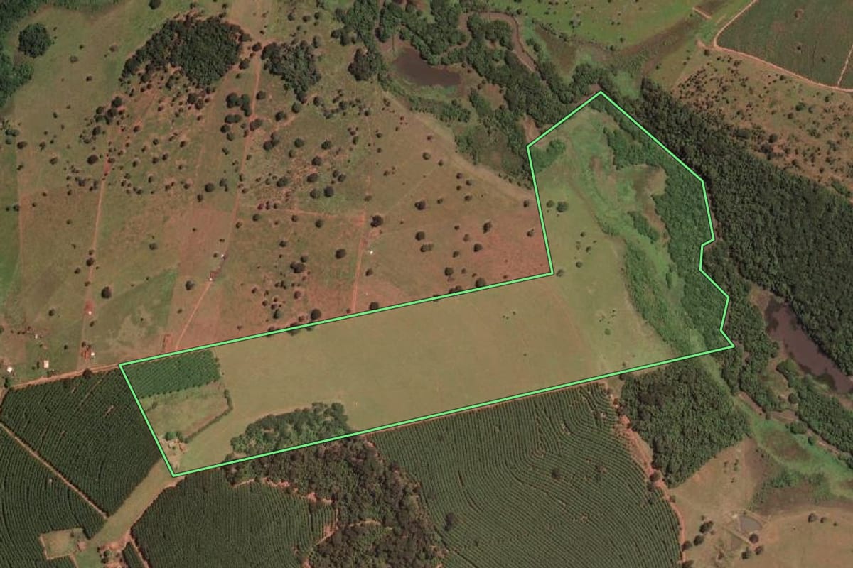 Imagem de satélite do imóvel rural em Mirassolândia (SP), com o contorno declarado no CAR desenhado por cima.