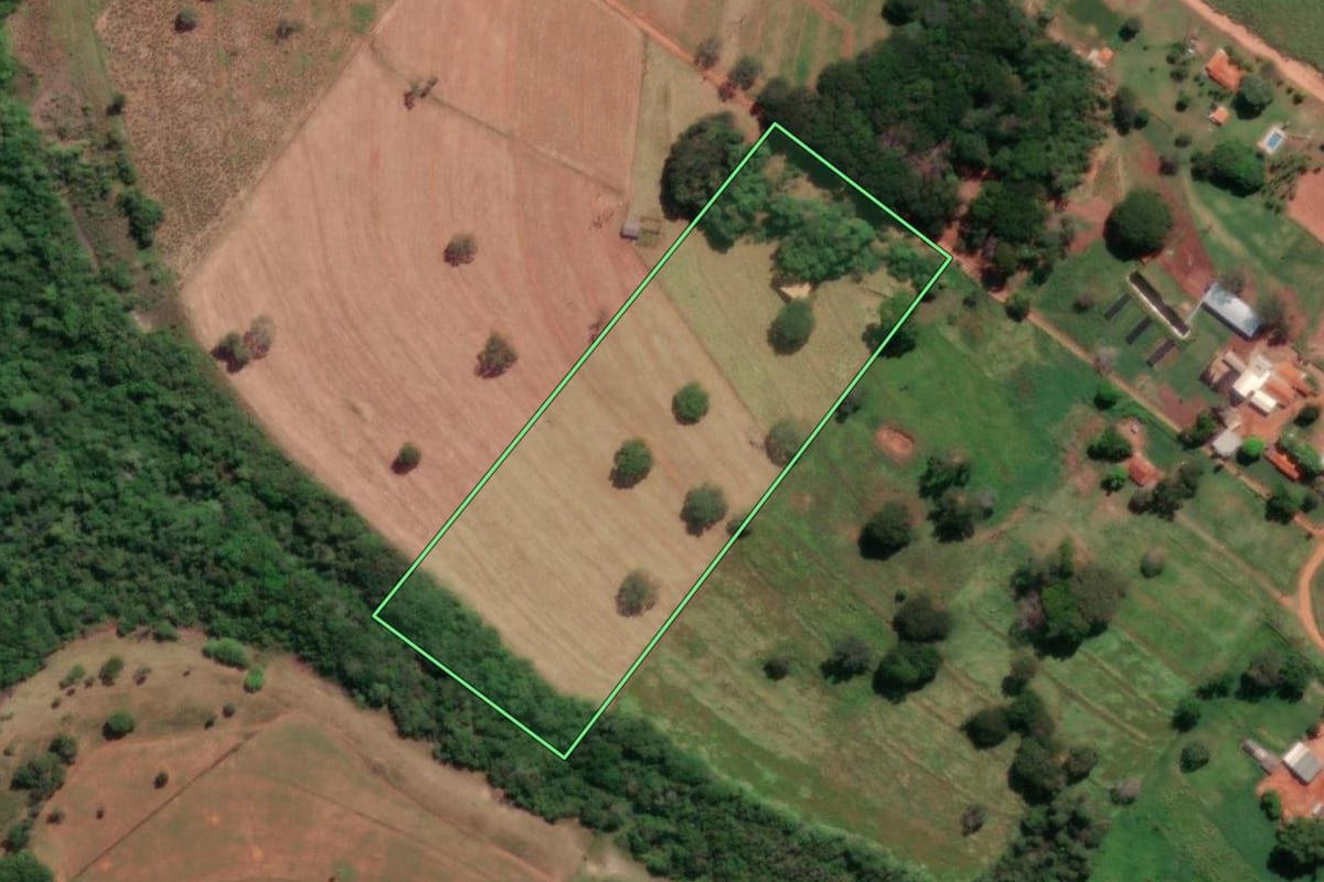 Imagem de satélite do imóvel rural em Mirassolândia (SP), com o contorno declarado no CAR desenhado por cima.