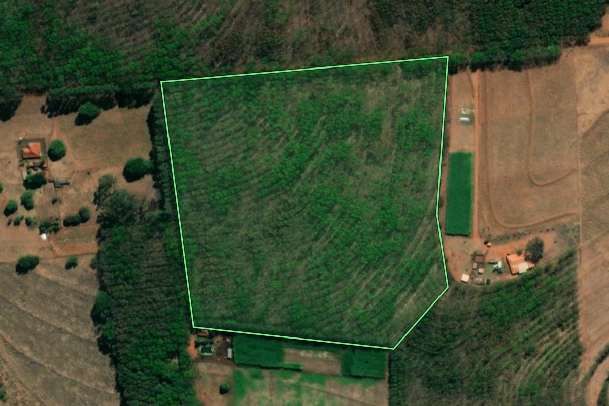 Imagem de satélite do imóvel rural em Mirassolândia (SP), com o contorno declarado no CAR desenhado por cima.