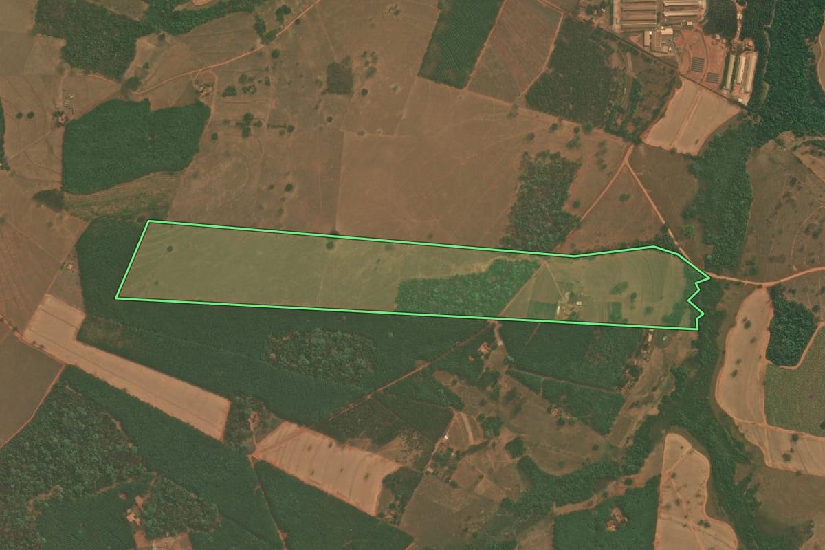 Imagem de satélite do imóvel rural em Mirassolândia (SP), com o contorno declarado no CAR desenhado por cima.