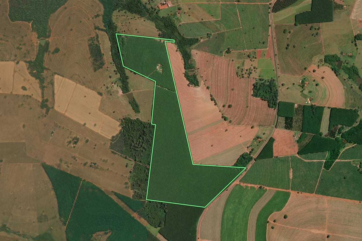 Imagem de satélite do imóvel rural em Mirassolândia (SP), com o contorno declarado no CAR desenhado por cima.