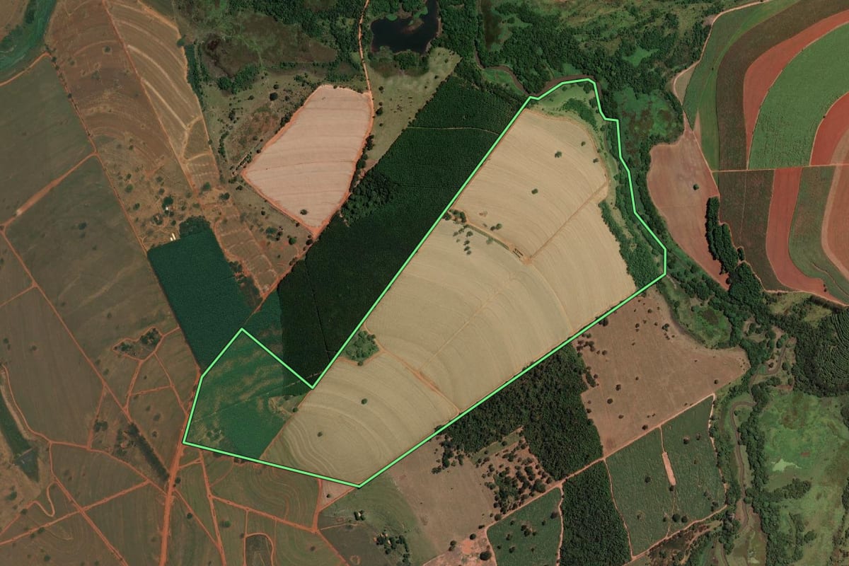 Imagem de satélite do imóvel rural em Mirassolândia (SP), com o contorno declarado no CAR desenhado por cima.