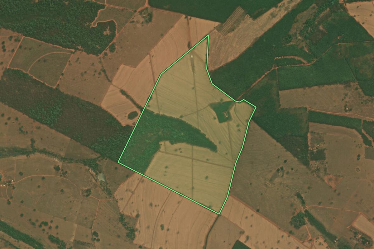 Imagem de satélite do imóvel rural em Mirassolândia (SP), com o contorno declarado no CAR desenhado por cima.