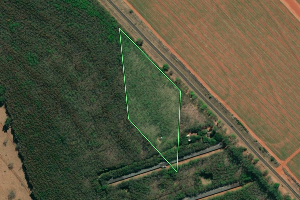 Imagem de satélite do imóvel rural em Mirassolândia (SP), com o contorno declarado no CAR desenhado por cima.