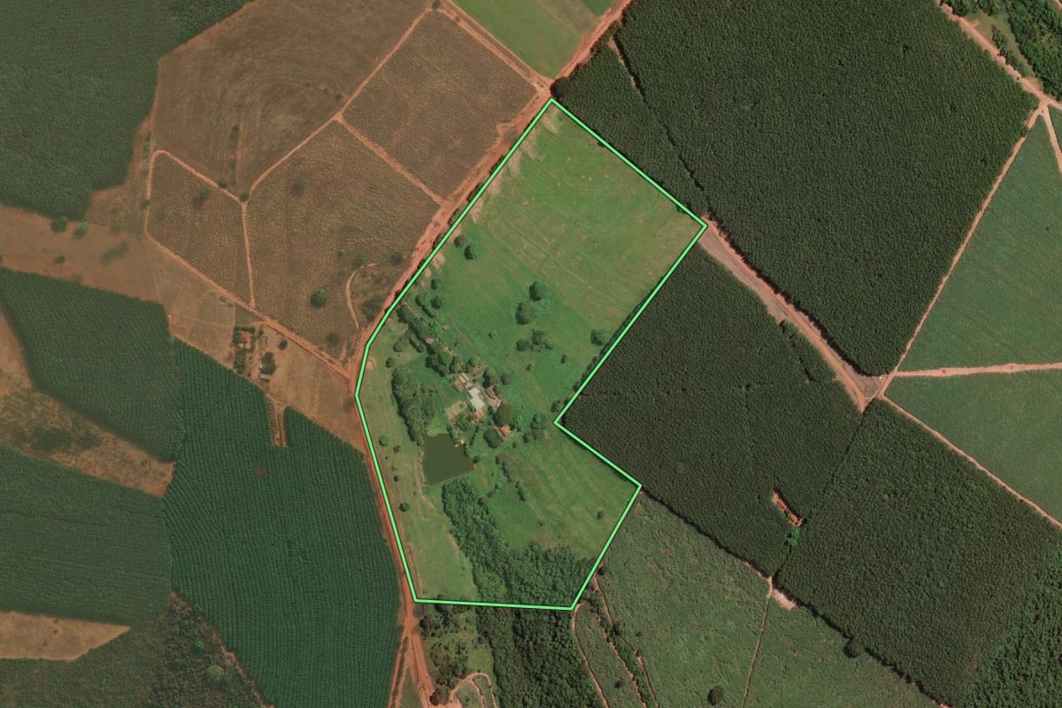 Imagem de satélite do imóvel rural em Mirassolândia (SP), com o contorno declarado no CAR desenhado por cima.