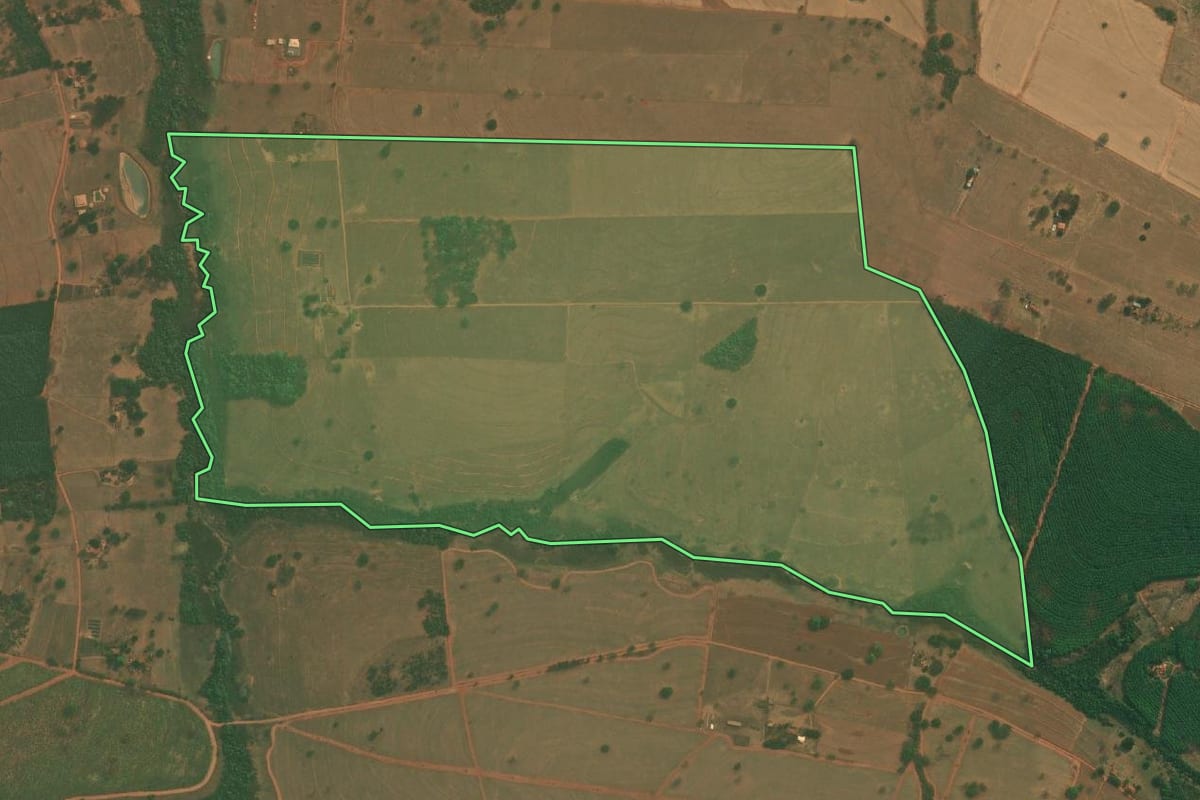 Imagem de satélite do imóvel rural em Mirassolândia (SP), com o contorno declarado no CAR desenhado por cima.