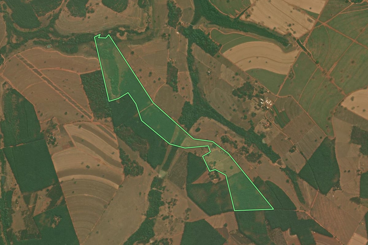Imagem de satélite do imóvel rural em Mirassolândia (SP), com o contorno declarado no CAR desenhado por cima.