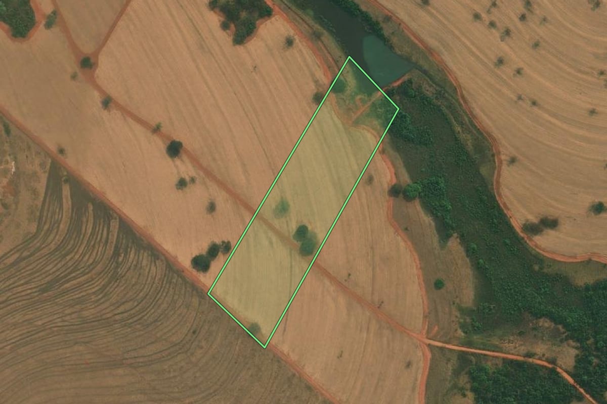 Imagem de satélite do imóvel rural em Mirassolândia (SP), com o contorno declarado no CAR desenhado por cima.