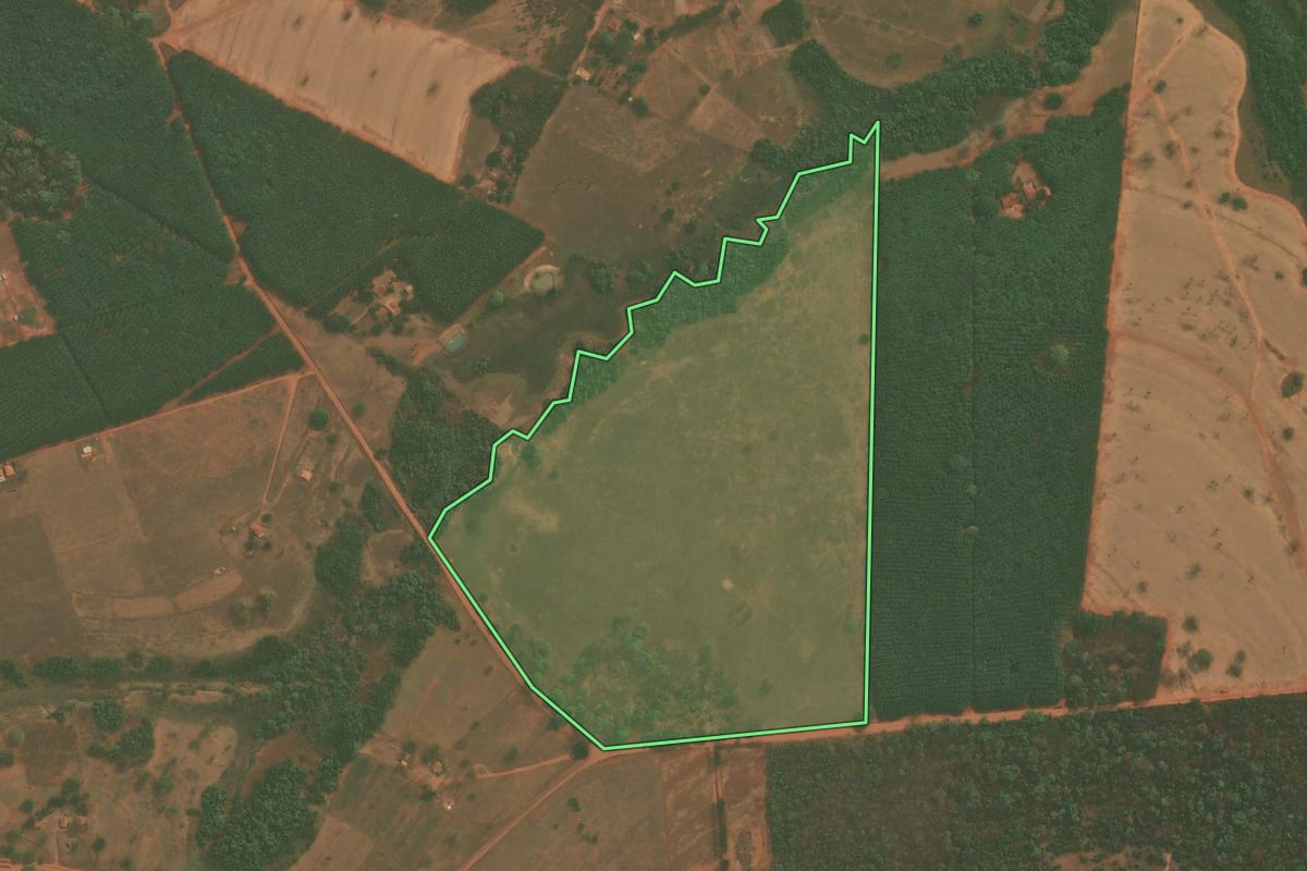 Imagem de satélite do imóvel rural em Mirassolândia (SP), com o contorno declarado no CAR desenhado por cima.