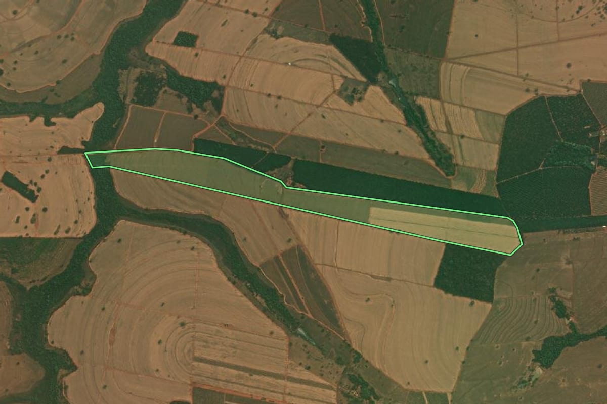 Imagem de satélite do imóvel rural em Mirassolândia (SP), com o contorno declarado no CAR desenhado por cima.