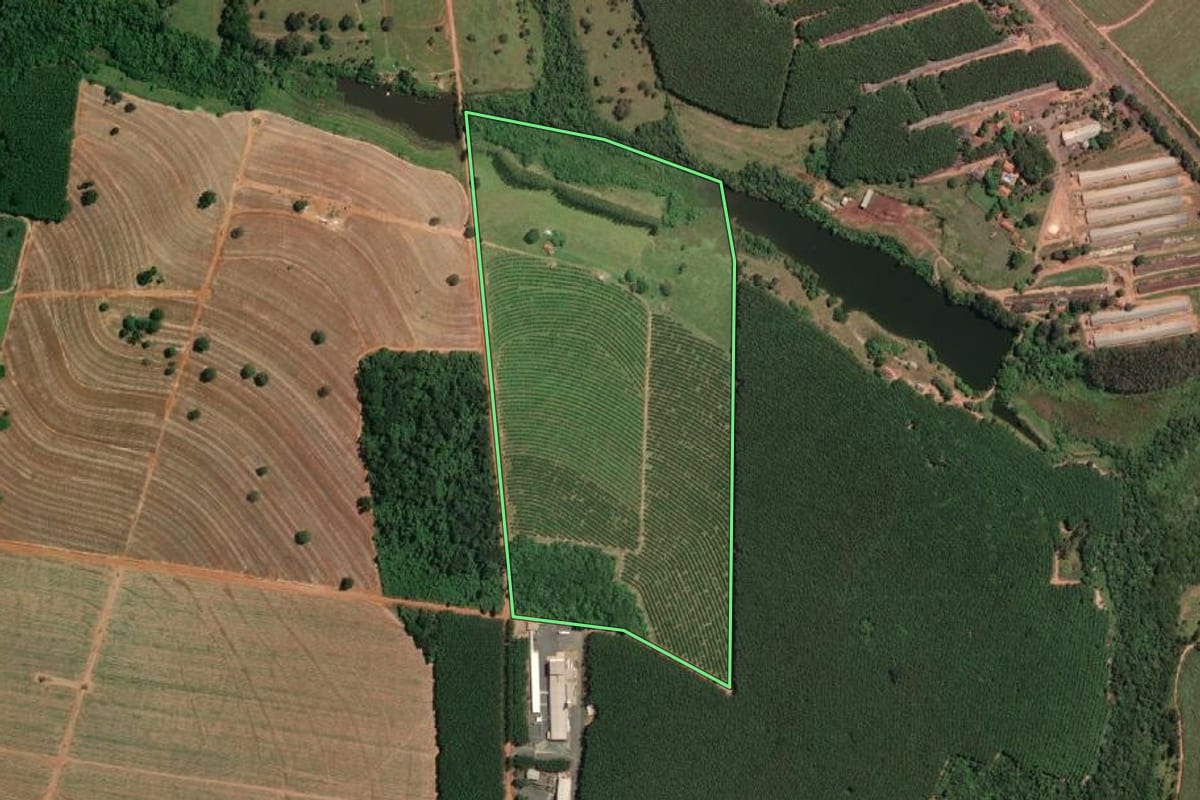Imagem de satélite do imóvel rural em Mirassolândia (SP), com o contorno declarado no CAR desenhado por cima.