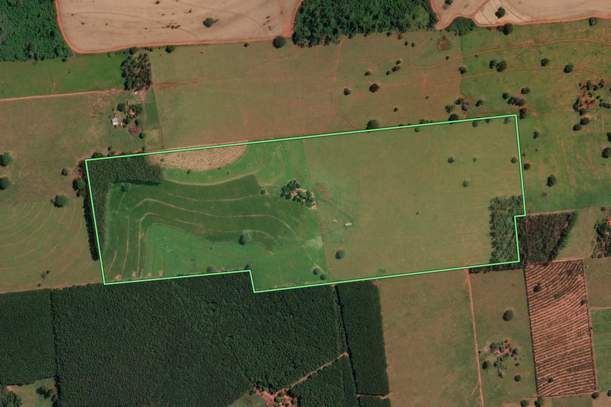 Imagem de satélite do imóvel rural em Mirassolândia (SP), com o contorno declarado no CAR desenhado por cima.