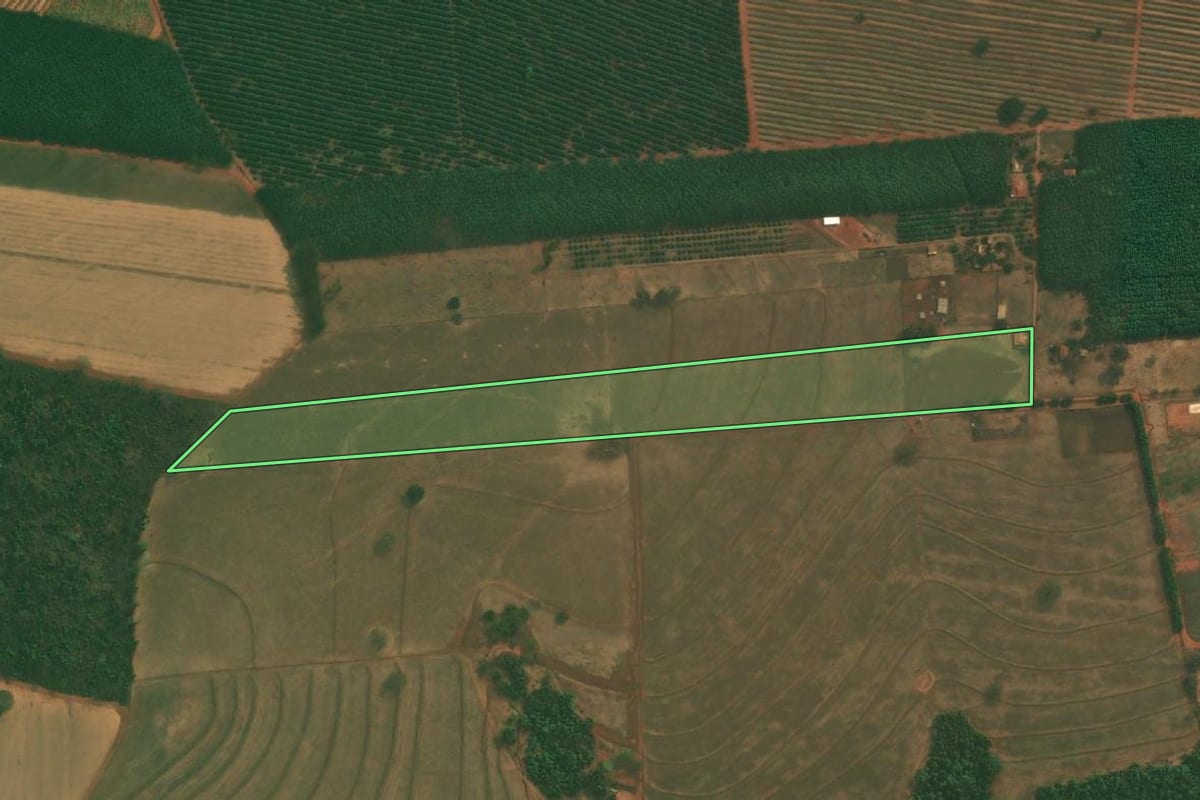 Imagem de satélite do imóvel rural em Mirassolândia (SP), com o contorno declarado no CAR desenhado por cima.