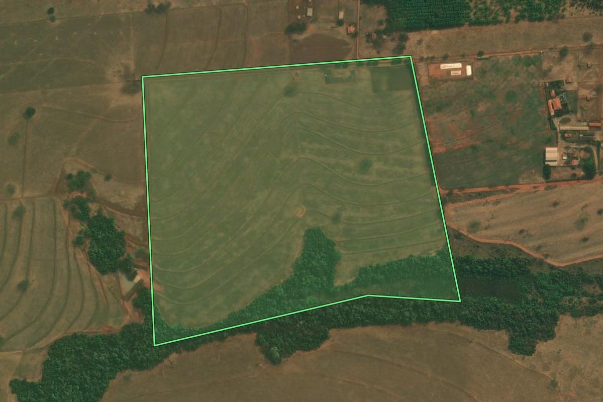 Imagem de satélite do imóvel rural em Mirassolândia (SP), com o contorno declarado no CAR desenhado por cima.