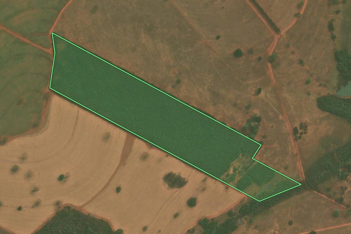 Imagem de satélite do imóvel rural em Mirassolândia (SP), com o contorno declarado no CAR desenhado por cima.