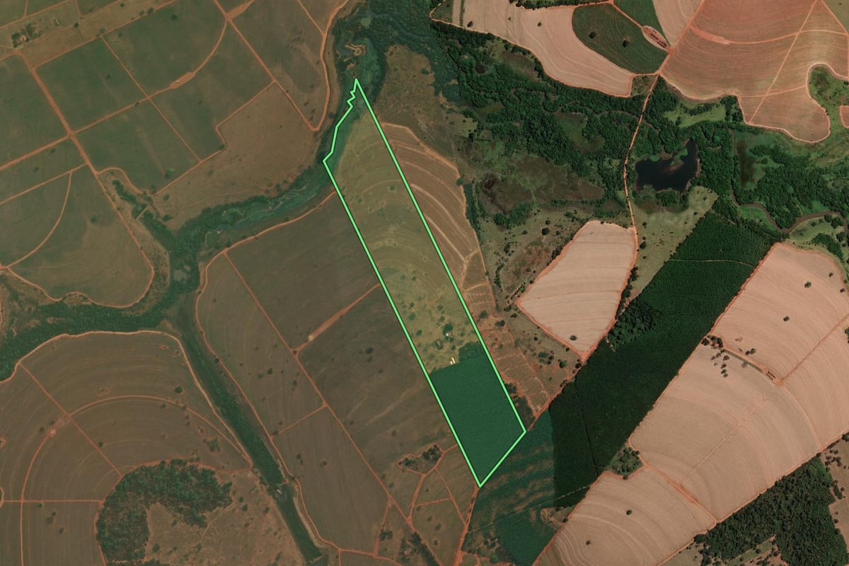 Imagem de satélite do imóvel rural em Mirassolândia (SP), com o contorno declarado no CAR desenhado por cima.