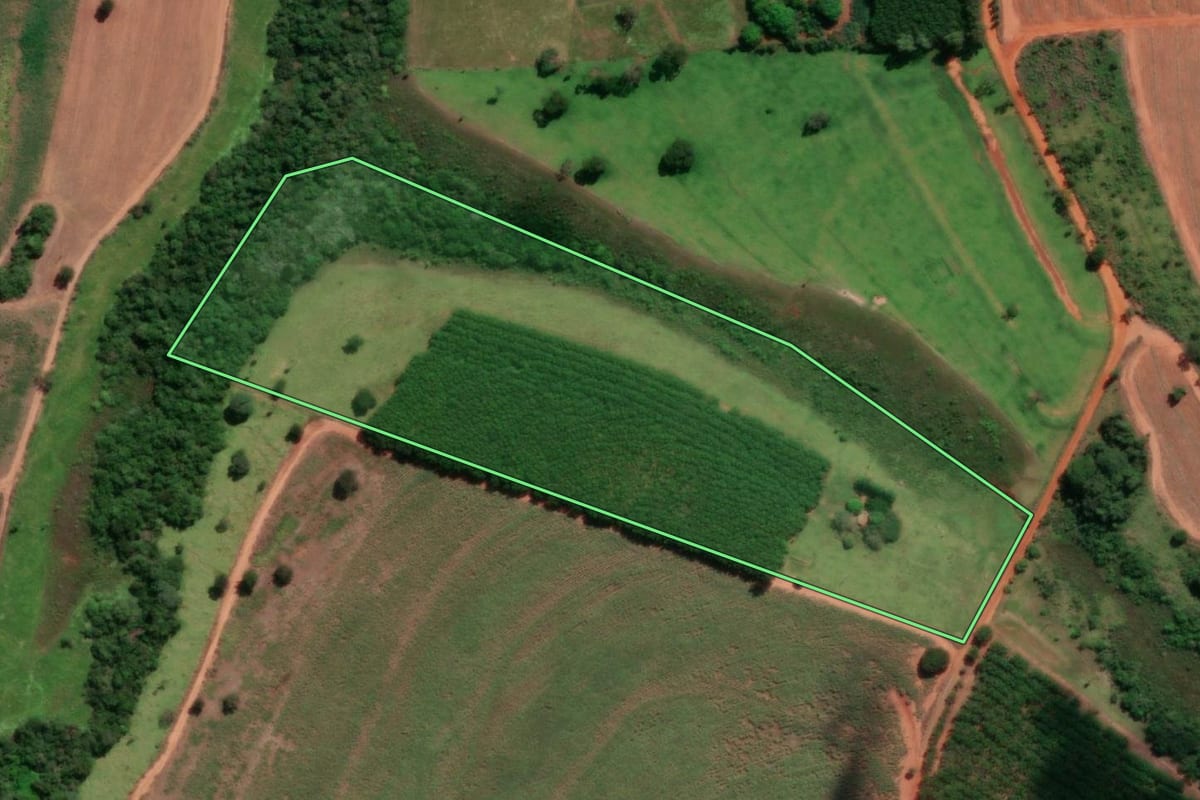 Imagem de satélite do imóvel rural em Mirassolândia (SP), com o contorno declarado no CAR desenhado por cima.