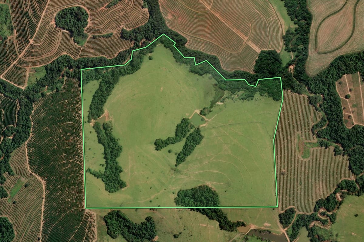 Imagem de satélite do imóvel rural em Mococa (SP), com o contorno declarado no CAR desenhado por cima.