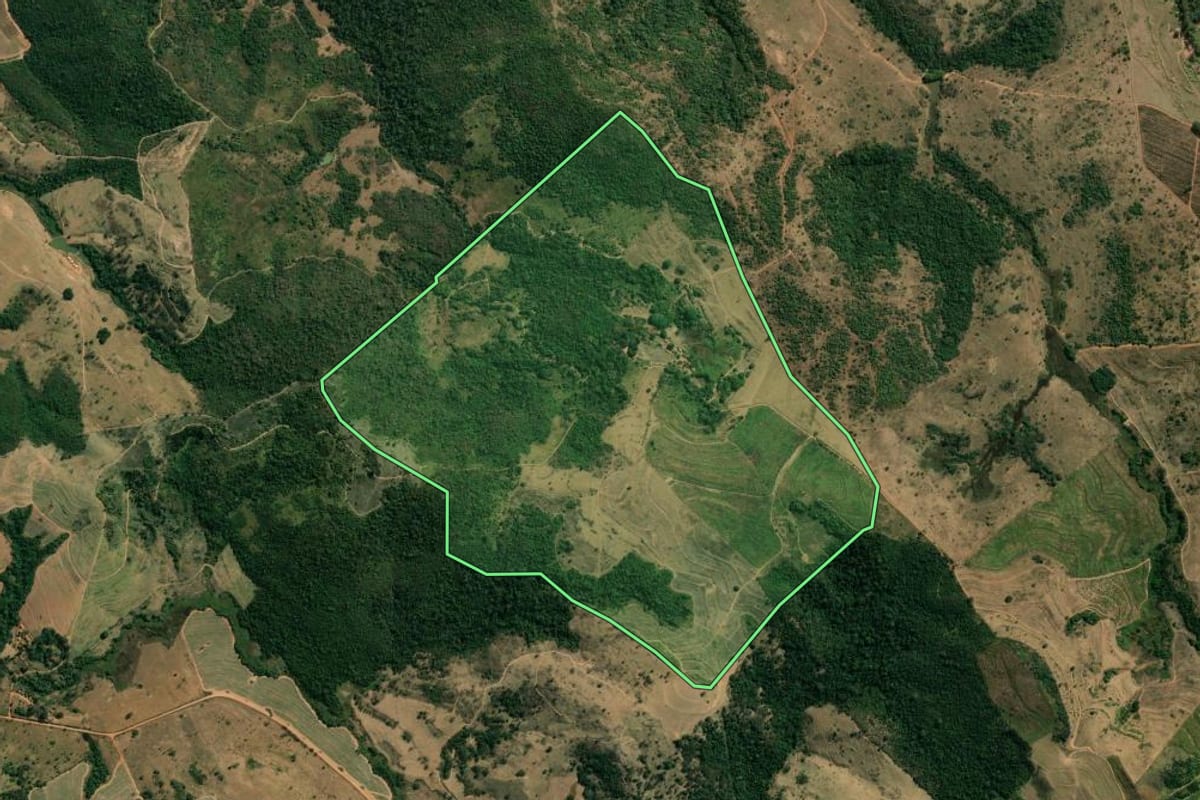 Imagem de satélite do imóvel rural em Mococa (SP), com o contorno declarado no CAR desenhado por cima.