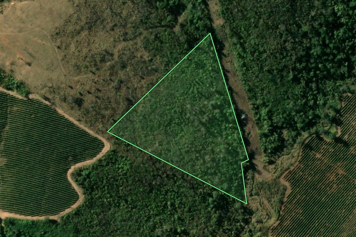 Imagem de satélite do imóvel rural em Mococa (SP), com o contorno declarado no CAR desenhado por cima.