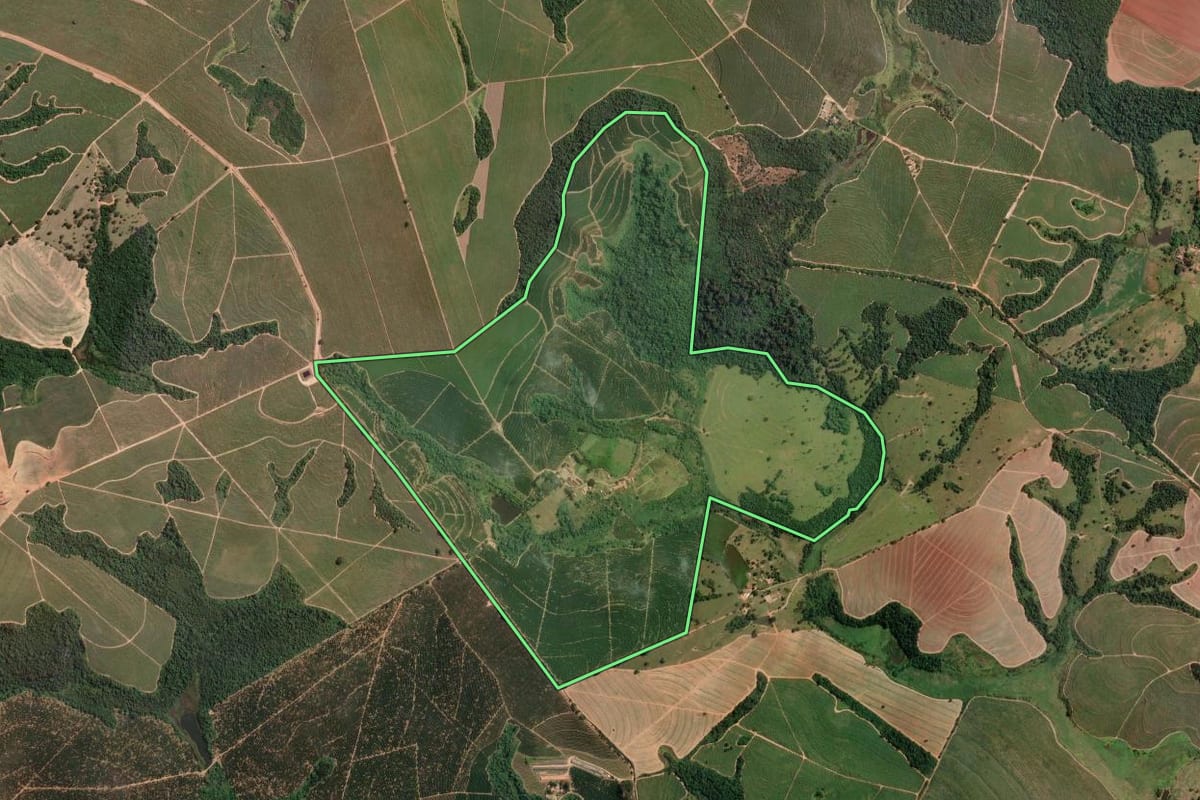 Imagem de satélite do imóvel rural em Mococa (SP), com o contorno declarado no CAR desenhado por cima.