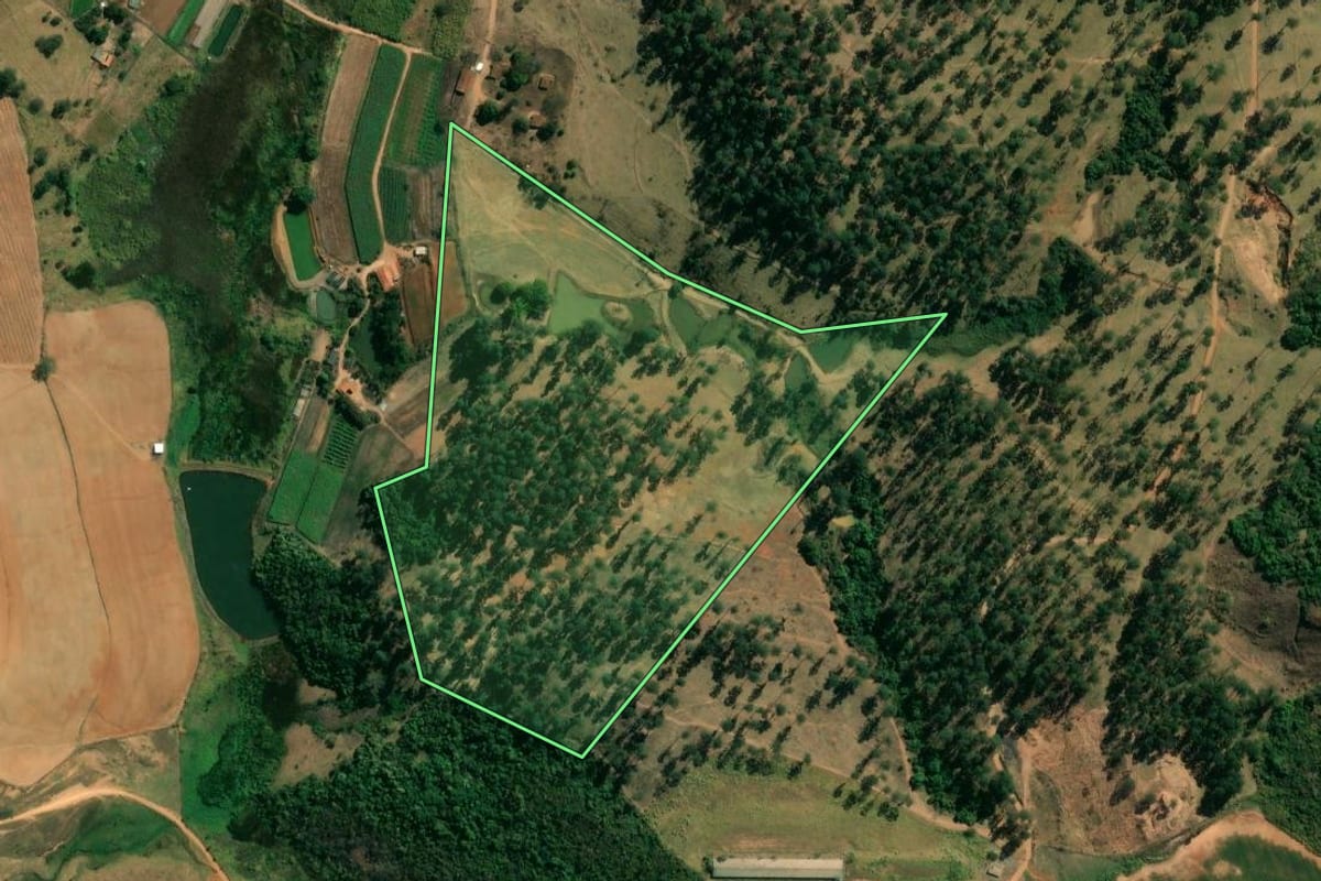 Imagem de satélite do imóvel rural em Mococa (SP), com o contorno declarado no CAR desenhado por cima.